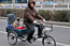 pekingnese on bike